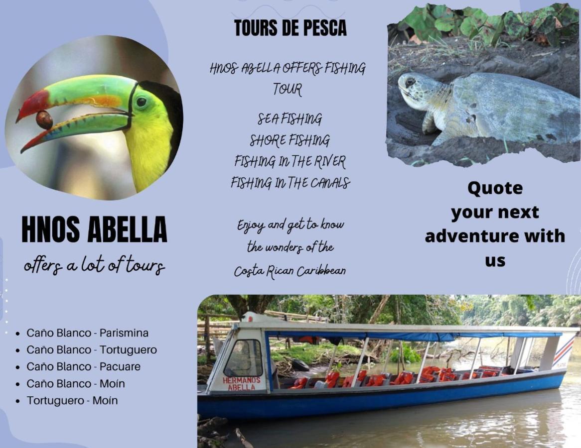 Sleep&Go! Cabina Cuadruple En Siquirres Centro - And Rafting Tour! Siqurres Da Alegria Dış mekan fotoğraf
